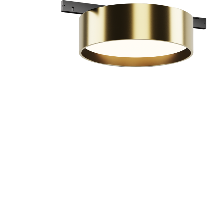 Трековый светильник MAYTONI ZON LEVITY TR189-1-12W4K-BBS